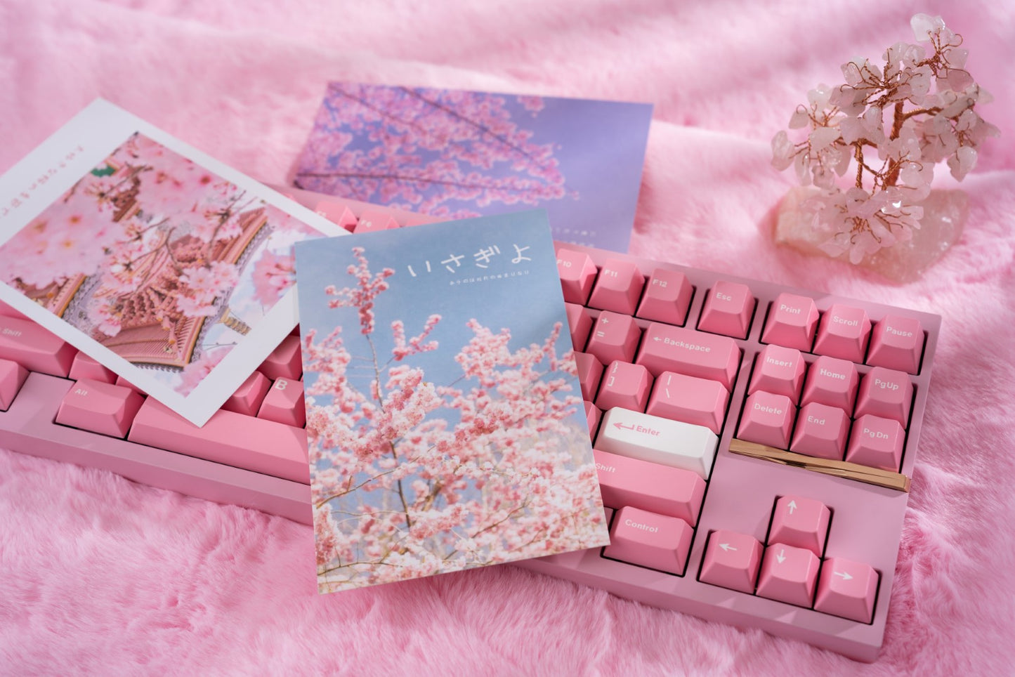 Haven TKL by Atelier Haven